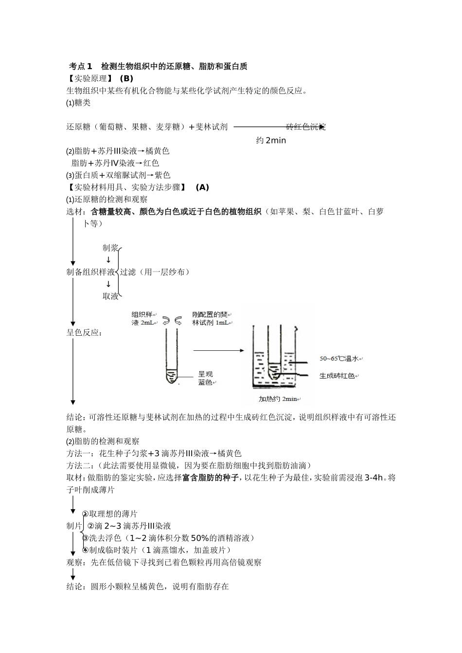 江苏省普通高中学业水平测试生物复习提纲_第1页