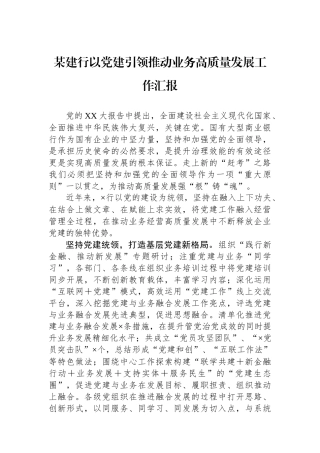 某建行以党建引领推动业务高质量发展工作汇报