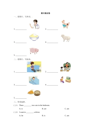 看图写字期中测试卷