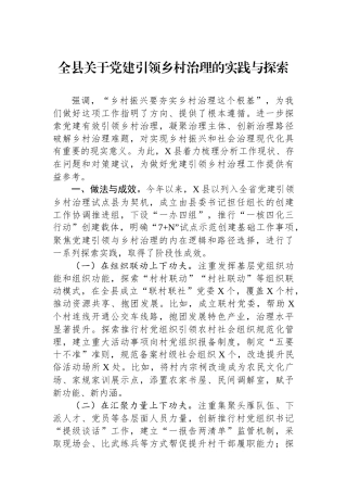 全县关于党建引领乡村治理的实践与探索