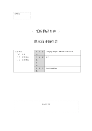 供应商评估报告