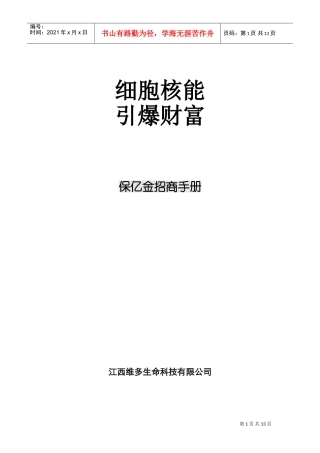 保亿金招商手册(DOC13页)
