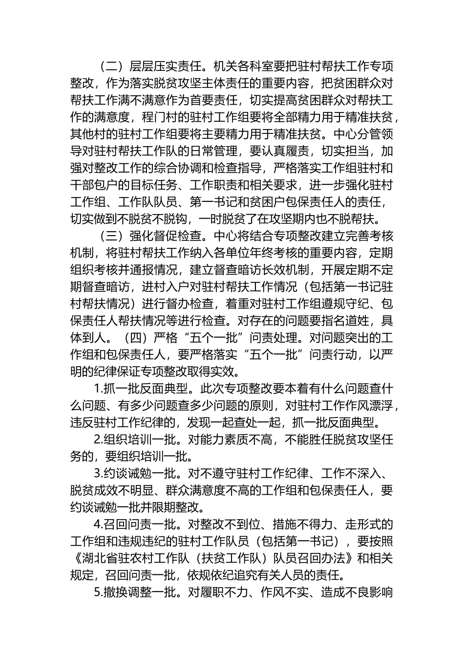 市政务服务中心驻村帮扶问题专项整改实施方案_第3页