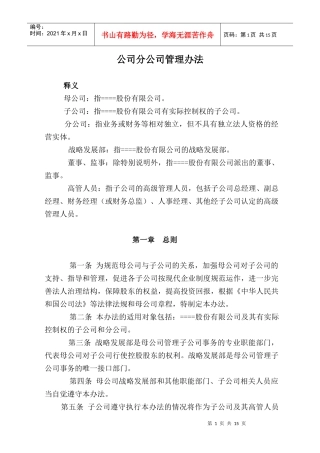 公司分公司管理办法