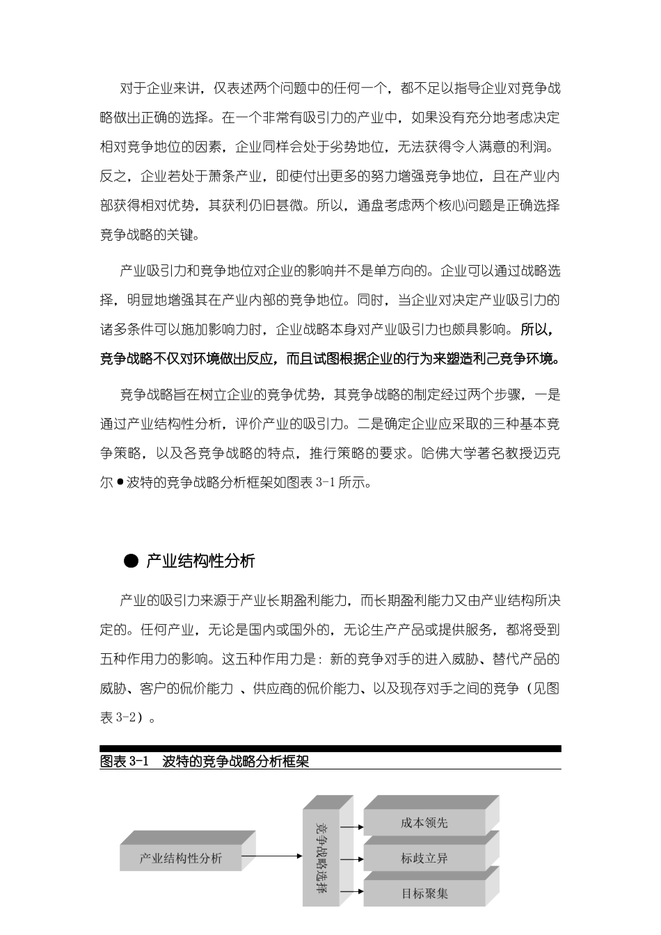 公司战略--理论与策划方案研讨_第2页