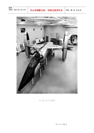 像鸟儿一样腾飞(飞机的发展与演变)3