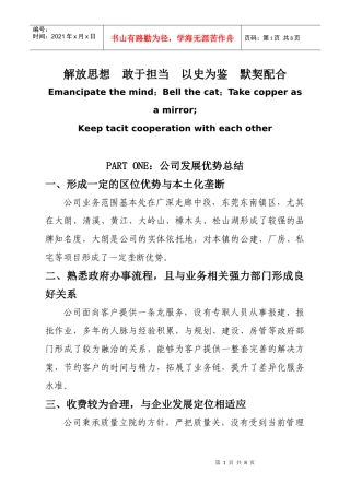 公司发展优势与问题