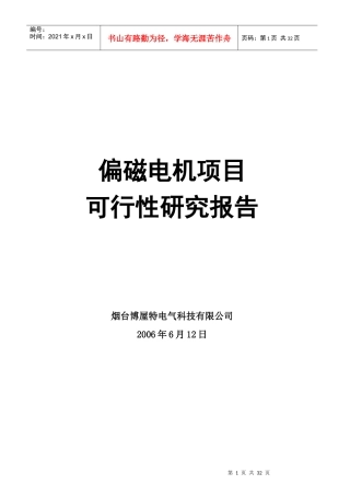 偏磁电机项目可行性研究报告0821
