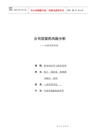 公司层面的风险分析