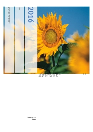 信息系统项目管理师讲义