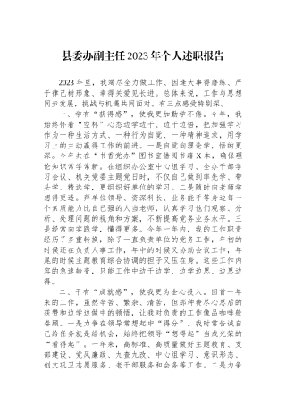 县委办副主任2023年个人述职报告