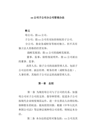 公司子公司分公司管理办法