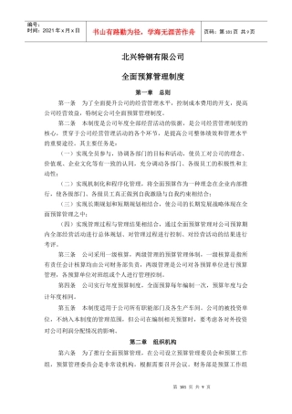 全面预算管理制度(DOC 9页)