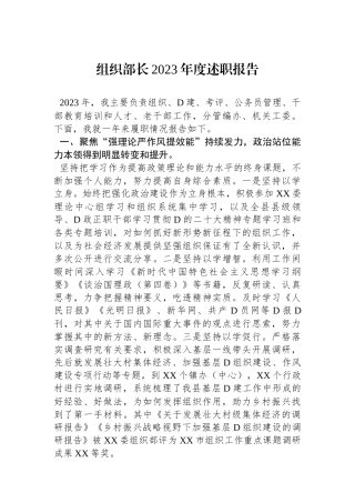 组织部长2023年度述职报告