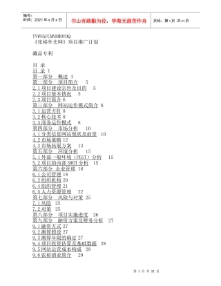 信息网站项目推广计划