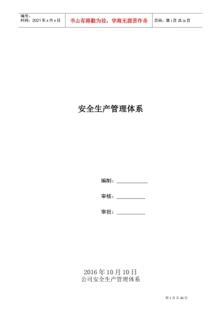 公司安全生产管理体系(DOC49页)