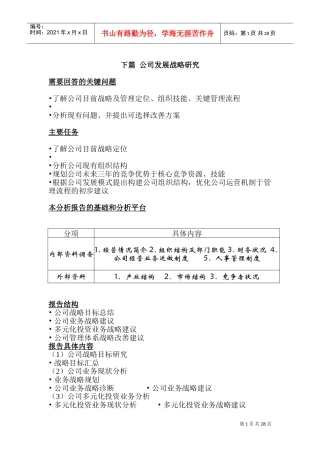 公司发展战略研究(DOC44页)