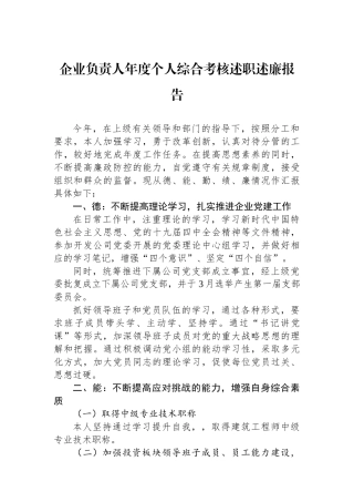 企业负责人年度个人综合考核述职述廉报告