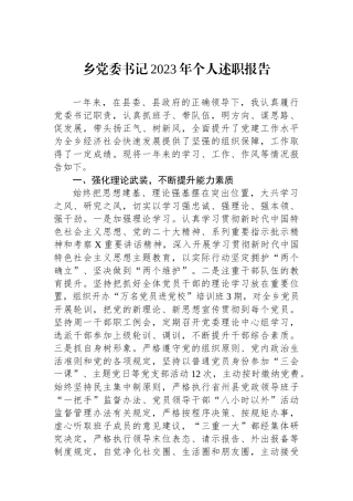 乡党委书记2023年个人述职报告