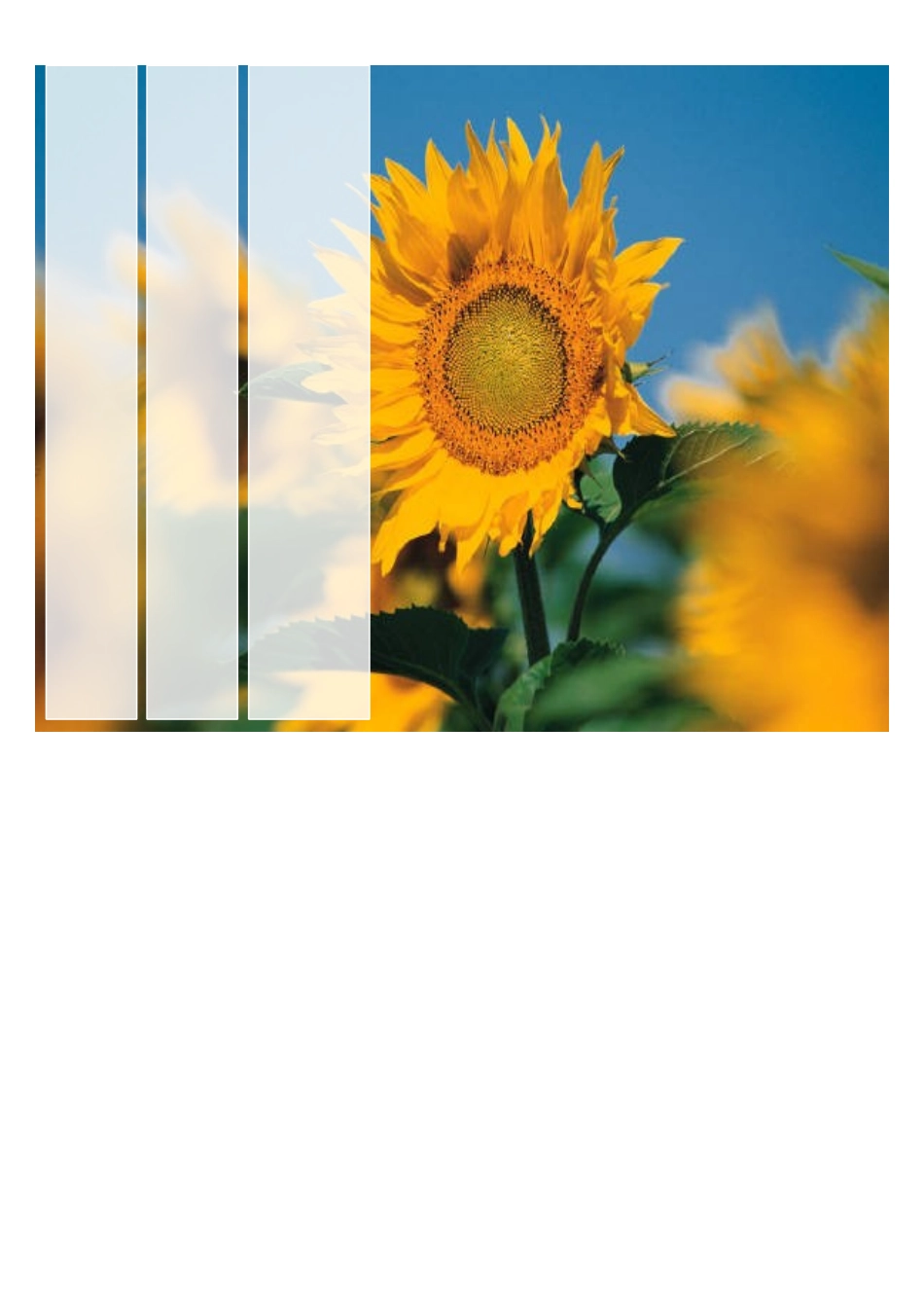 信息系统项目管理师_第1页