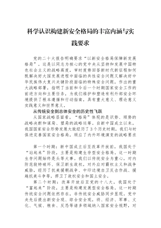 科学认识构建新安全格局的丰富内涵与实践要求