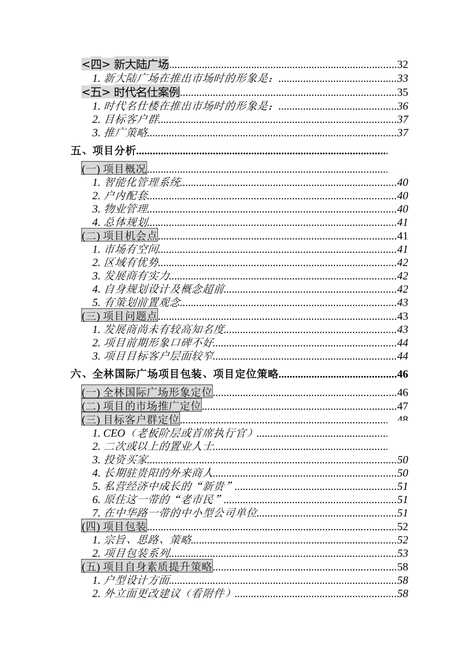 全林国际广场策划书2（DOC 91页）_第2页