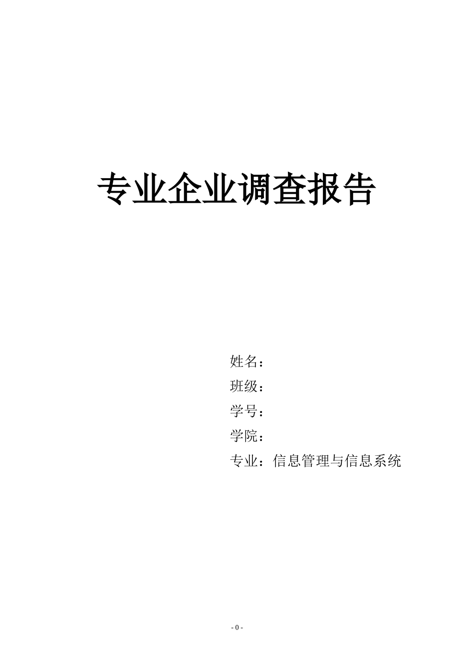 信息管理与信息系统专业企业调查_第1页