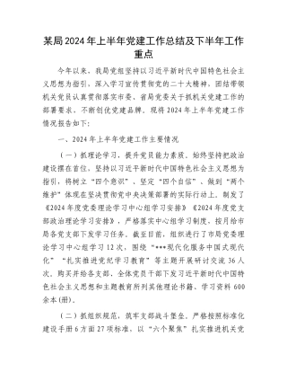 某局2024年上半年党建工作总结及下半年工作重点