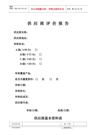供应商评价报告