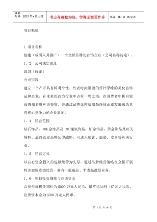 全新品牌首饰企业项目预可行性研究报告