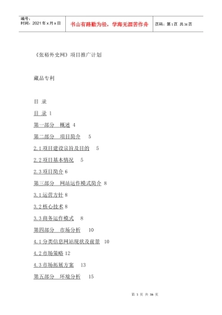 信息网站项目推广计划（DOC22页）