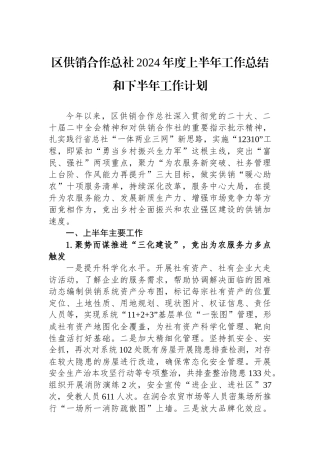 区供销合作总社2024年度上半年工作总结和下半年工作计划（20240530）