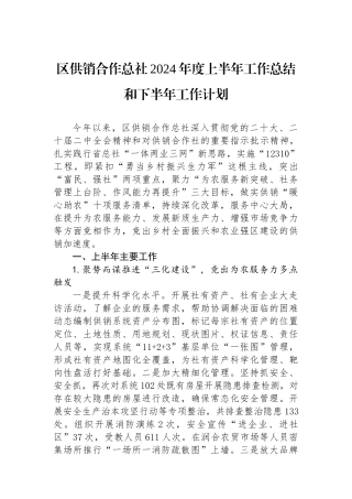 区供销合作总社2024年度上半年工作总结和下半年工作计划