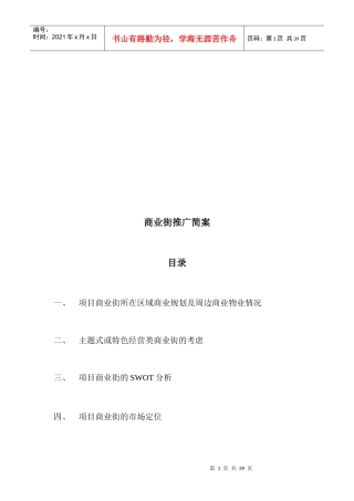 关于商业街推广简案
