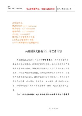 共青团临武县委年度工作计划书