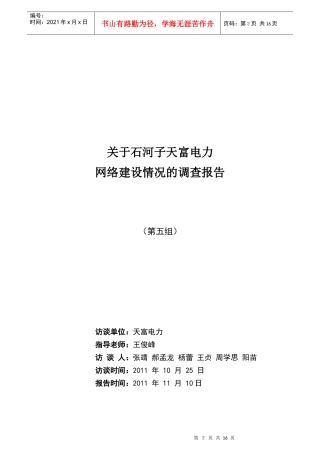 关于某公司电力网络建设情况的调查报告