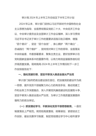 审计局2024年上半年工作总结及下半年工作计划