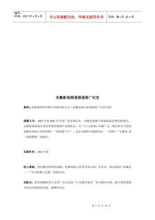 关于安徽影视频道频道推广纪实