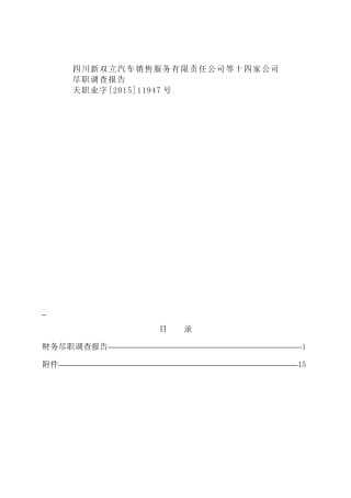 其他集团调查报告(供参考)