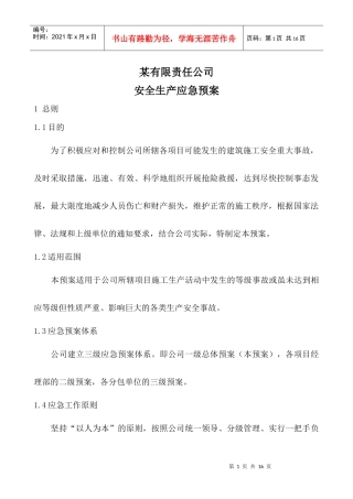 公司级别安全应急预案
