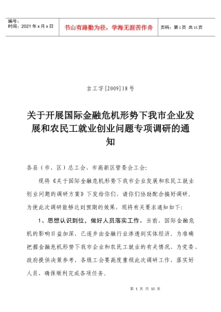 关于开展国际金融危机形势下我市企业发展和农民工就业创业问题专
