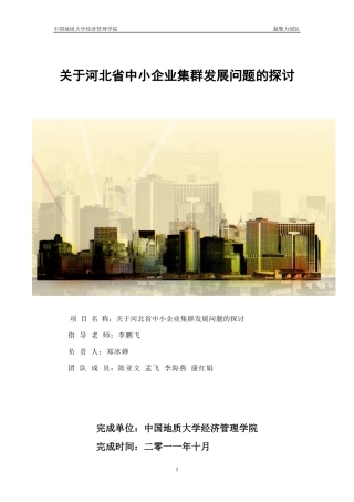 关于河北省中小企业集群发展问题的探讨