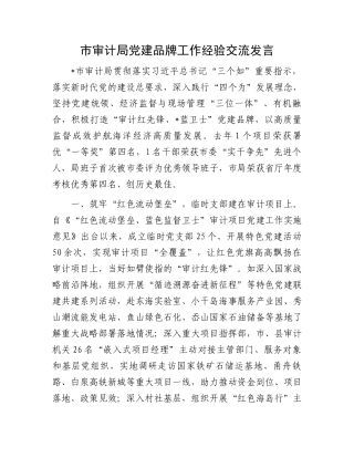 市审计局党建品牌工作经验交流发言