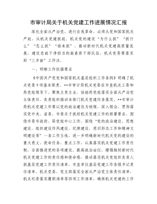 市审计局关于机关党建工作进展情况汇报