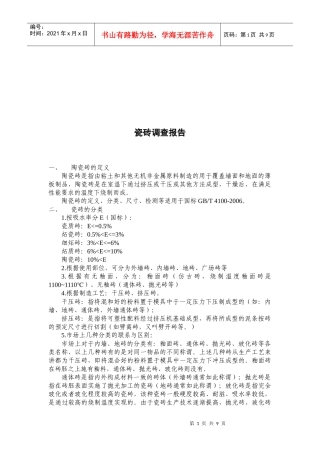 关于瓷砖的调查报告