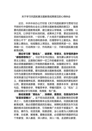 关于学习巩固拓展主题教育成果意见的心得体会