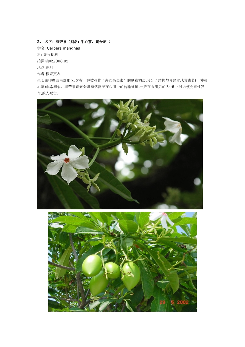 园林景观设计师必知常见的有毒植物54种_第2页