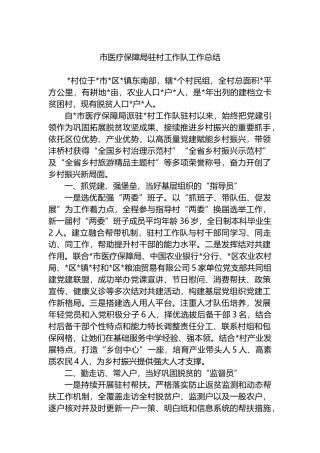 市医疗保障局驻村工作队工作总结