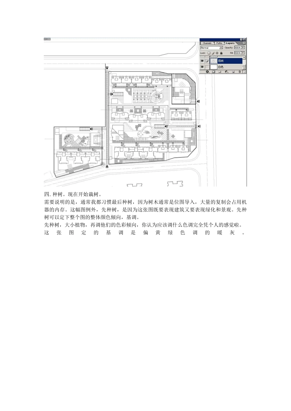 园林景观平面图上色教程_第3页