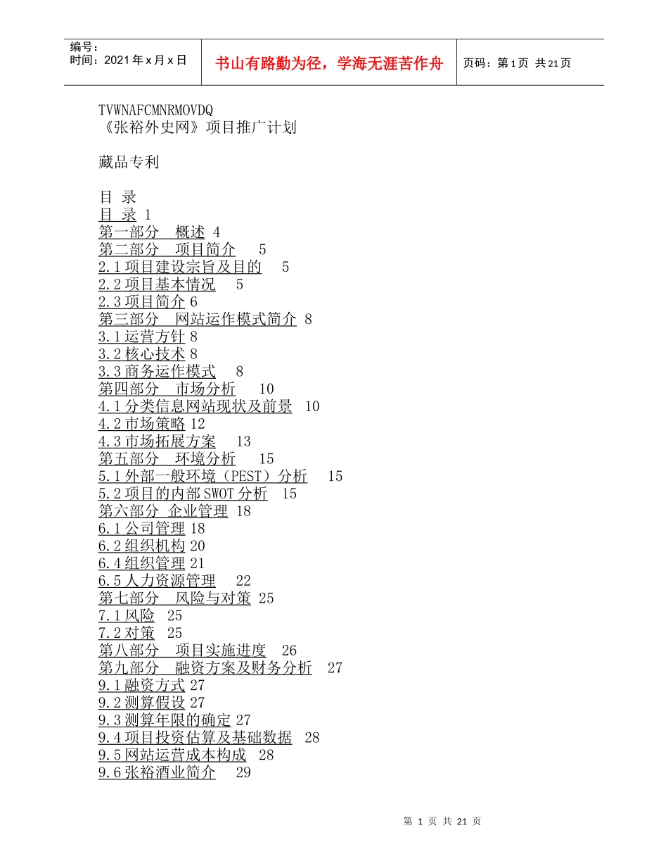 关于信息网站项目推广计划_第1页